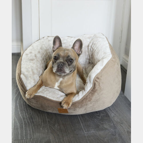 Dog butterfly bed Thumbnail