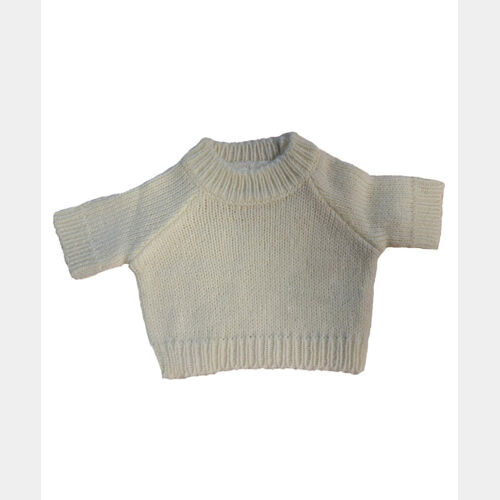 Teddy jumper Thumbnail