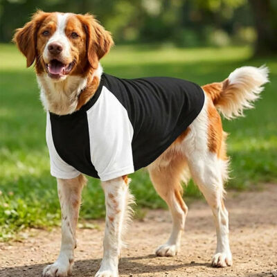 Dog’s raglan t-shirt Thumbnail